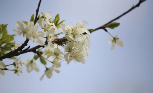 До 27°С: якою буде погода в Одесі та області протягом дня