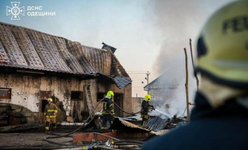 В Одеській області на фермі згоріло 11 свиней, — ФОТО, ВІДЕО