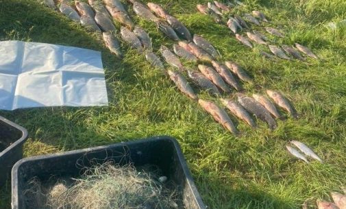 Два браконьєри в Одеській області незаконно виловили 130 кг риби