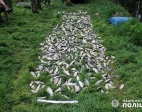 Збитки на понад мільйон гривень: жителя Одеси викрили у браконьєрстві
