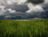 Місцями невеликий дощ: прогноз погоди по Одеській області на 13 травня