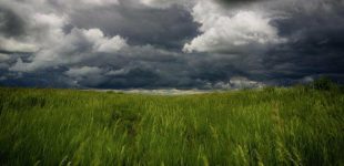 Місцями невеликий дощ: прогноз погоди по Одеській області на 13 травня