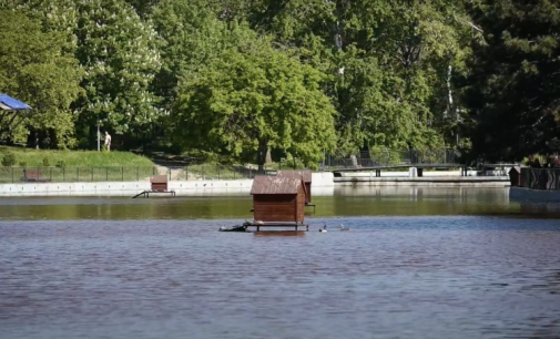 У парку Перемоги в Одесі покращується технічний стан води