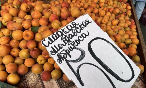 Малина, абрикоси, перець: скільки на одеському Привозі коштують овочі та фрукти, — ФОТО