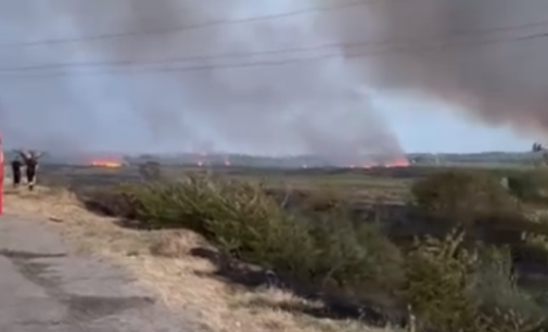 На Одещині за добу вогонь знищив понад 11 гектарів, — ВІДЕО