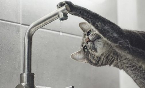 Де в Одесі до вечора не буде водопостачання, — АДРЕСИ