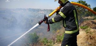 Через пожежу 18 домашніх тварин загинуло на Одещині