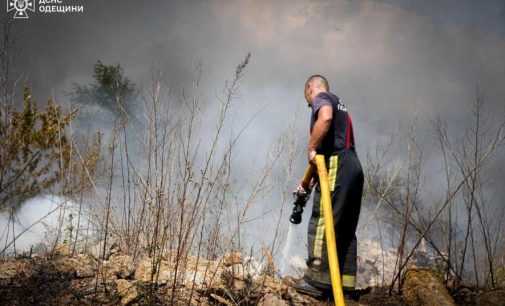 На Одещині спалахнула трава на площі понад 2 тисячі квадратних метрів