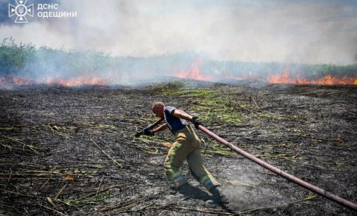 На Одещині пожежа знищила понад 3 гектари лісу