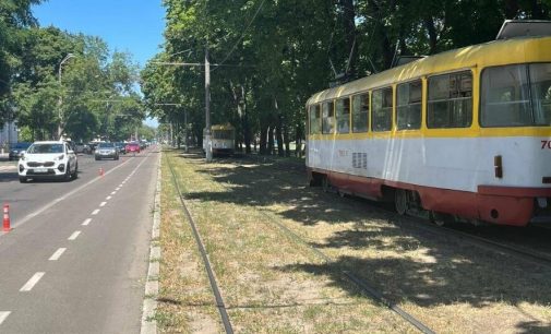 В Одесі гілка паралізувала рух трамваїв, — ФОТО