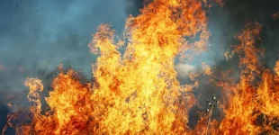 В Одеському районі внаслідок пожежі у будинку постраждала жінка