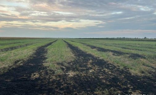 На Одещині чоловік підпалів стерні в полі, бо хотів заощадити