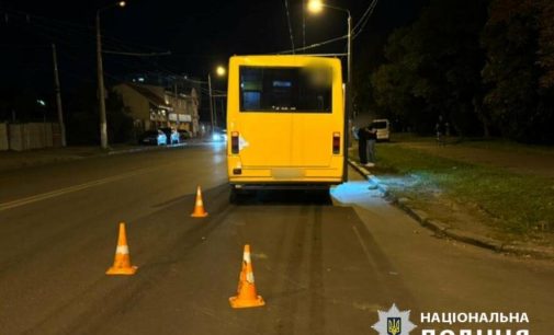 Через їжака в Одесі сталася аварія, в якій травмувалася пасажирка маршрутки, — ФОТО