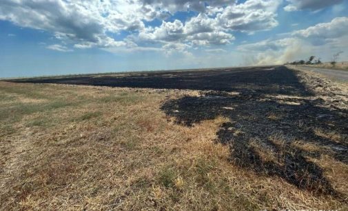 Жителю Одещини загрожує позбавлення волі за підпал поля, — ФОТО