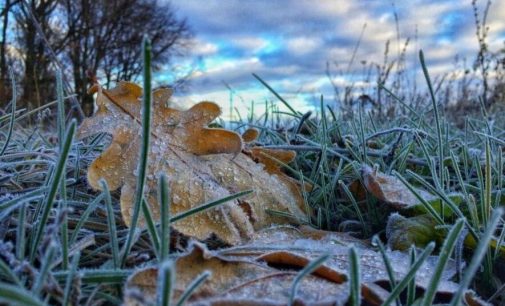 Завтра в Одесі без опадів, вдень 10-12°С тепла