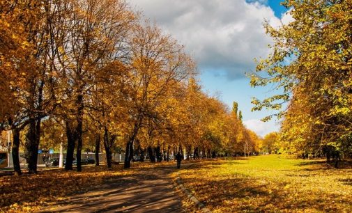 Завтра в Одесі без опадів, вдень 15-17°С тепла