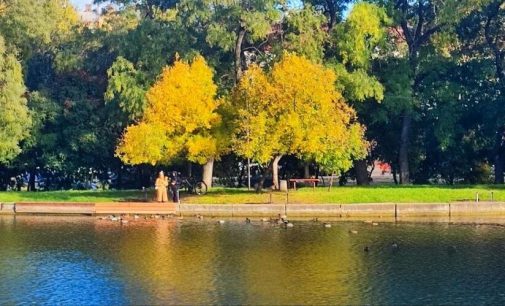 Одеській Дюківський парк: його історія, занепад та сучасність