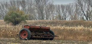 В Одеській області викрили підприємство, яке легалізувало необліковану сільгосппродукцію