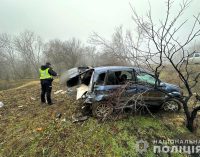 Одна людина травмувалася: на Одещині з дороги злетіла автівка, — ФОТО