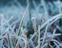 Температура опуститься місцями до -13°C: прогноз погоди по Одеській області