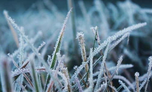 Температура опуститься місцями до -13°C: прогноз погоди по Одеській області