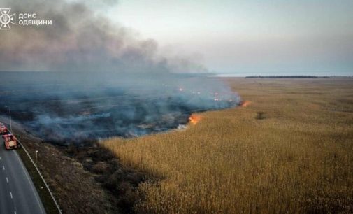 В Одеській області лише за добу сталося 24 пожежі на відкритій території, — ФОТО