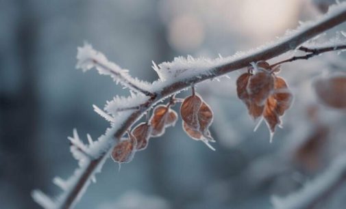 Нічні морози не відступають: прогноз погоди по Одеській області на 26 лютого