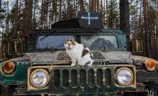 1109 доба повномасштабної війни: яка ситуація в Україні станом на ранок 8 березня