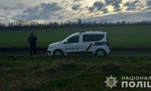 Незаконний посів на Одещині: чоловік вирощував соняшник на землі громади