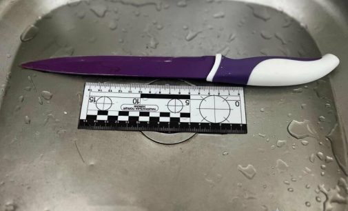 Заступилася за сина та схопилася за ніж: одеській пенсіонерці загрожує тюремний термін, — ФОТО