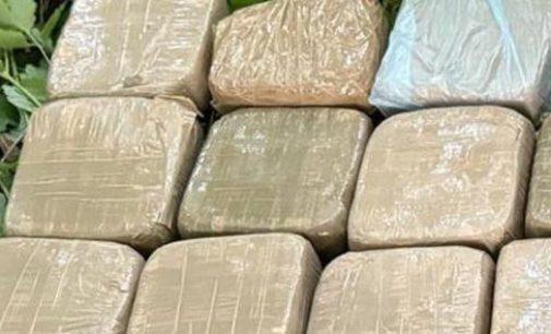 В Одесі спіймали кур’єра з героїном на 63 мільйони, — ФОТО