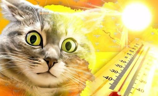 Спека до +30°C в Одесі: прогноз погоди на 16 липня